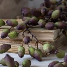 Load image into Gallery viewer, ARTIFICIAL BARBERRY
