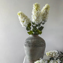 Load image into Gallery viewer, HYDRANGEA PANICULATA CREAM
