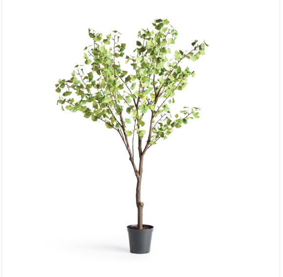Ginkgo Tree Drop In- 8