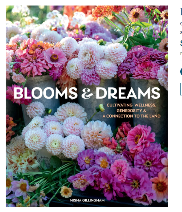 Blooms & Dreams