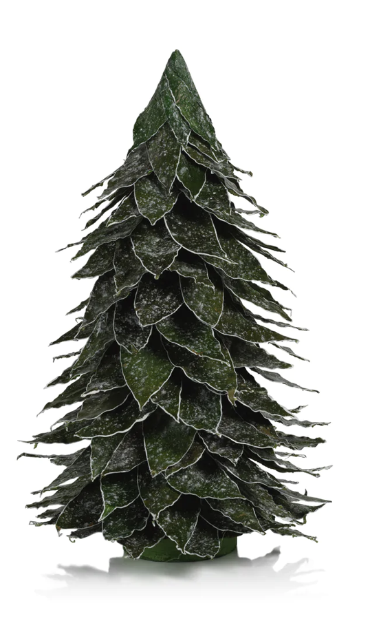 Mahogany Leaf Tree