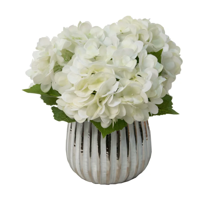 Cream Hydrangea in Vase 12