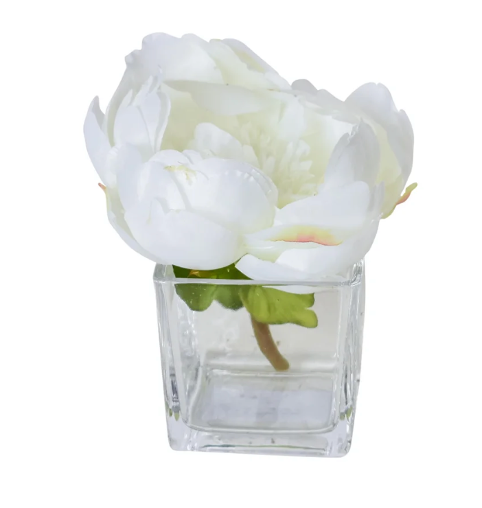 Cream Peony in Glass Cube