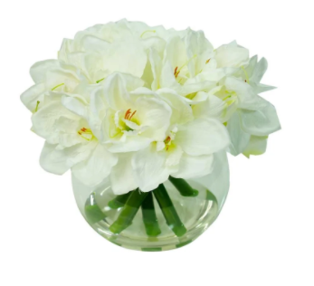 Glass Bowl with Amaryllis