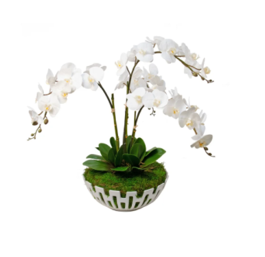 White Vase with Orchid and Bamboo Moss