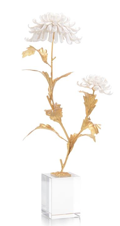 Avignon Chrysanthemums