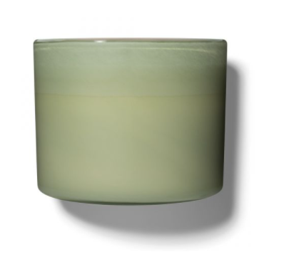 15.5 oz Fresh Cut Gardenia