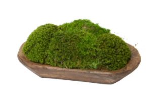 Wood Tray with Mood Moss