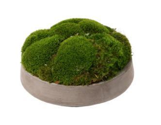 Newport Bowl with Moss- Small