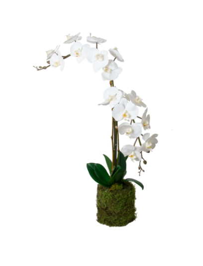 Double Drop in White Orchid w/ Bamboo sticks