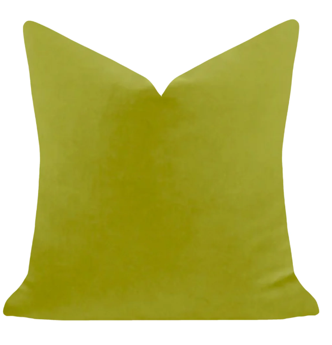 Green 22x22 Solid Velvet Pillow