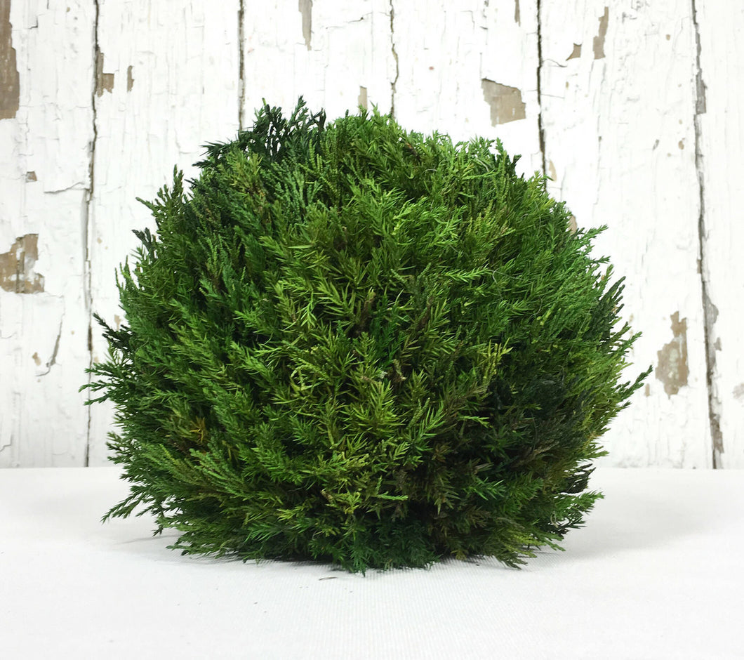 Tuscan Cypress Ball 8”