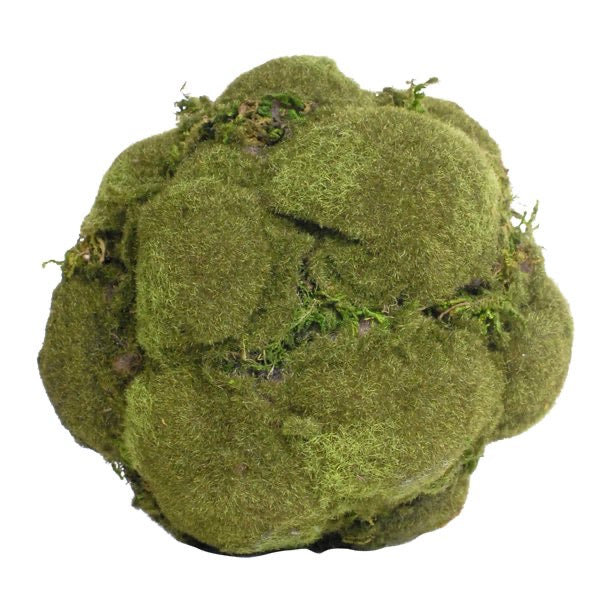 Textured Moss Ball