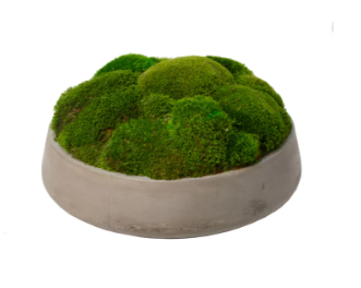 Newport Bowl Mood Moss- Large