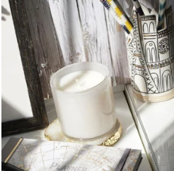 6.5oz Star Magnolia Candle- Guest Room
